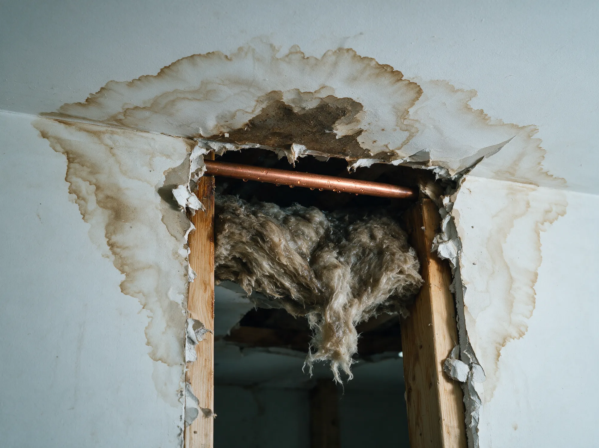 A water-stained ceiling torn open to expose a sweating copper supply line and saturated insulation sagging out of the cavity